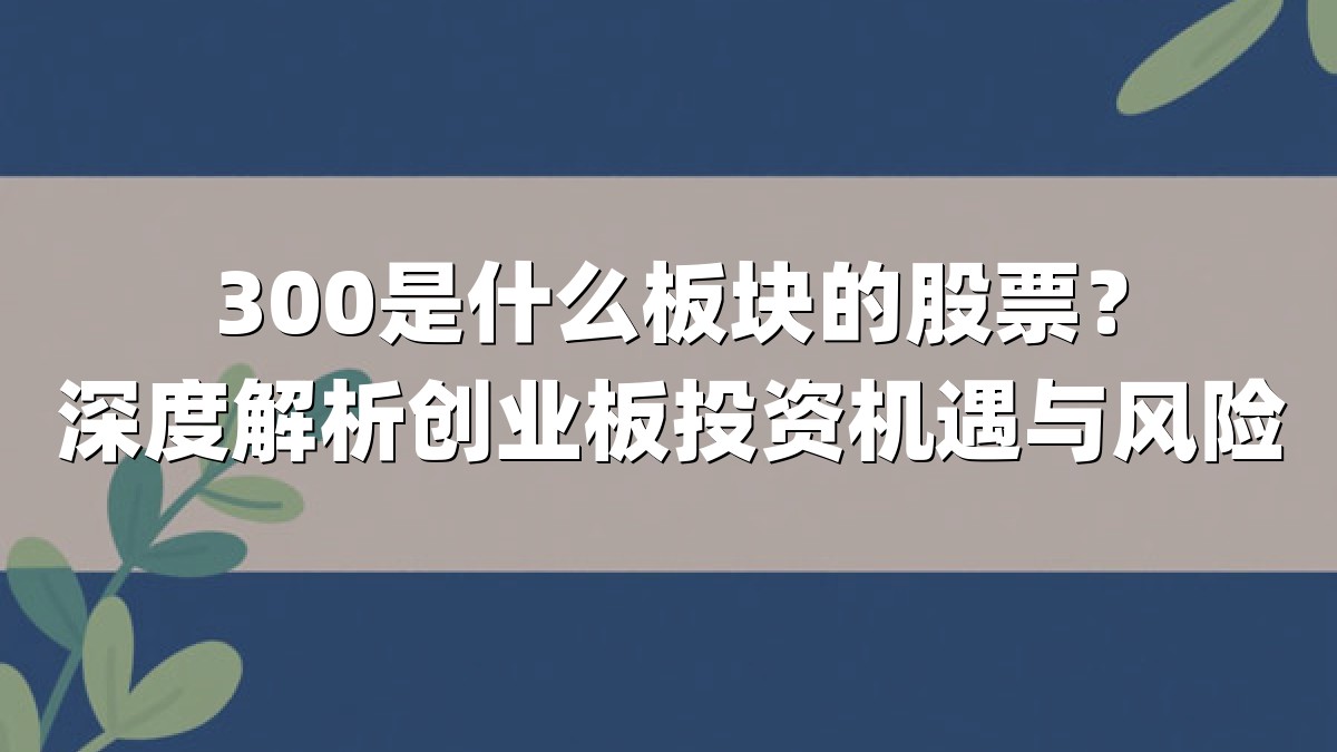 300是什么板块的股票?深度解析创业板投资机遇与风险