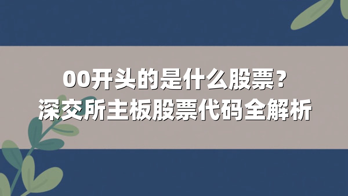 00开头的是什么股票？深交所主板股票代码全解析