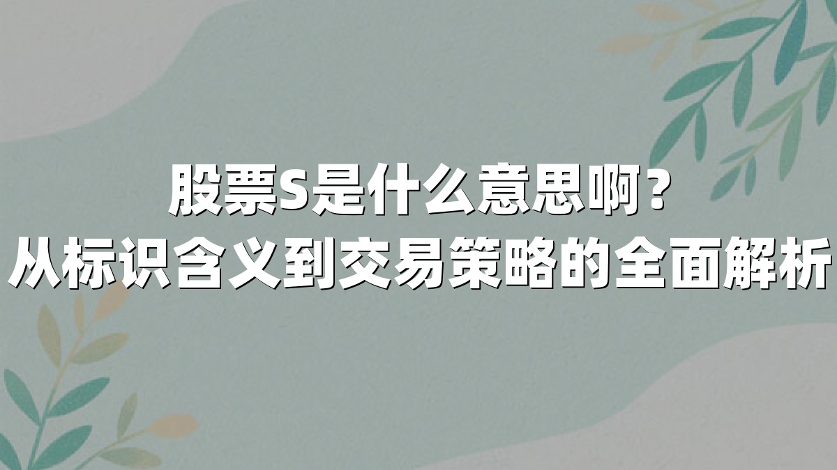 股票S是什么意思啊?从标识含义到交易策略的全面解析