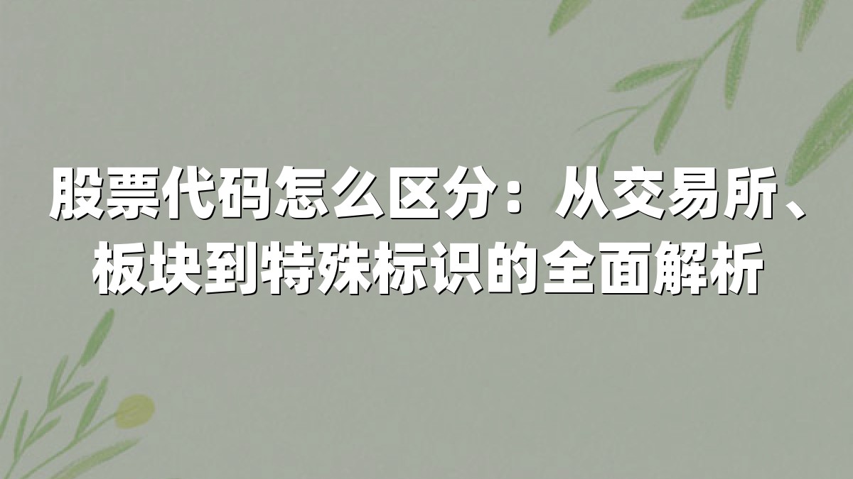 股票代码怎么区分:从交易所、板块到特殊标识的全面解析