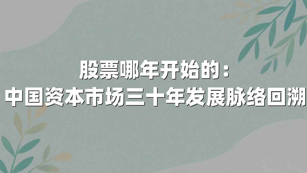 股票哪年开始的:中国资本市场三十年发展脉络回溯
