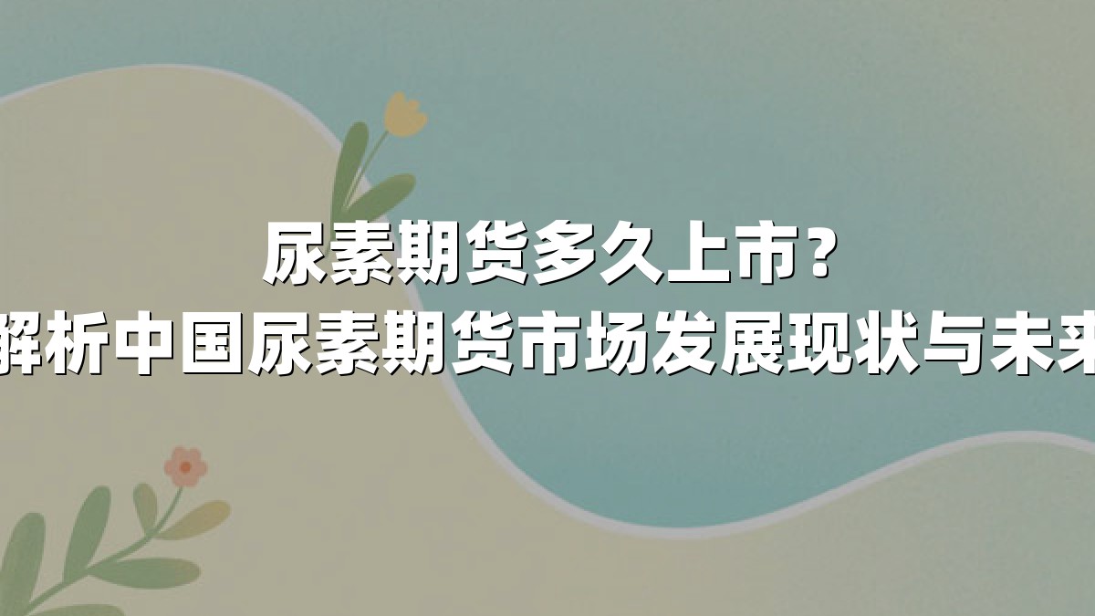 尿素期货多久上市？深度解析中国尿素期货市场发展现状与未来趋势