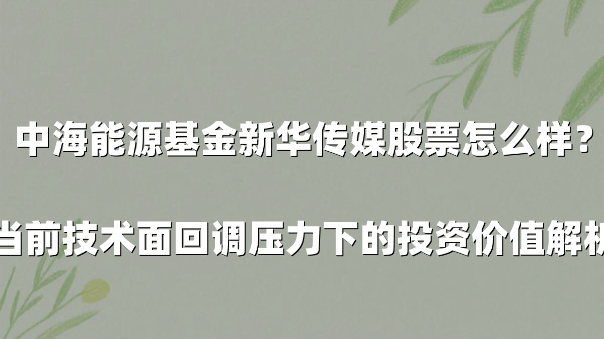 中海能源基金新华传媒股票怎么样？当前技术面回调压力下的投资价值解析