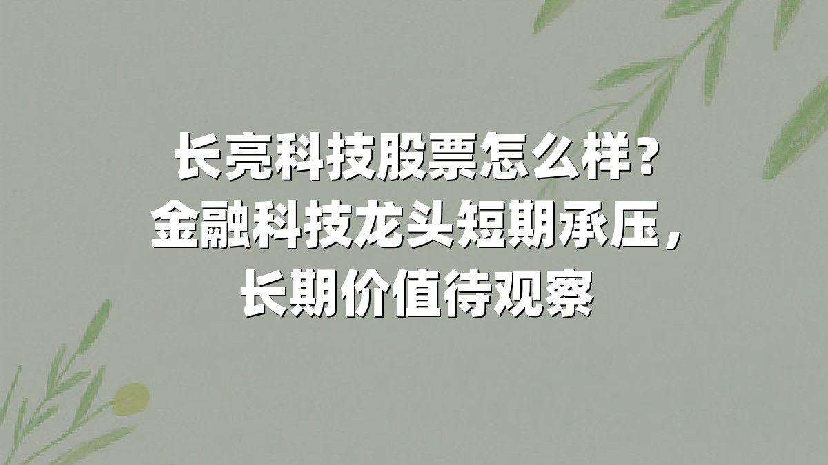 长亮科技股票怎么样?金融科技龙头短期承压,长期价值待观察