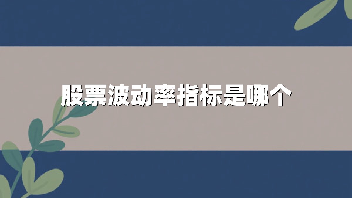 股票波动率指标是哪个