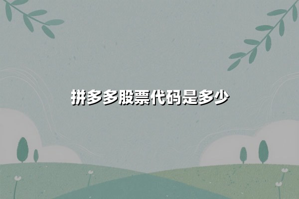 拼多多股票代码是多少？深度解析PDD投资价值与电商生态布局