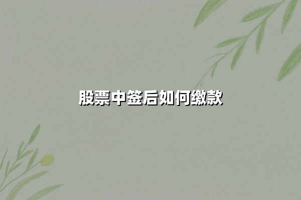 股票中签后如何缴款:2025年新股缴款全流程与避坑指南