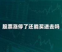 股票涨停了还能买进去吗(2024年最新解答)