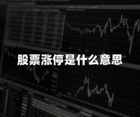 股票涨停是什么意思(2024年股票涨停最新权威解释)