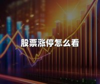 股票涨停怎么看(2024年查看股票涨停的最新方法)