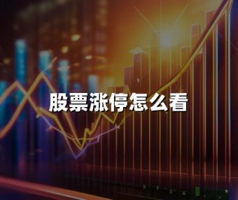 股票涨停怎么看(2024年查看股票涨停的最新方法)