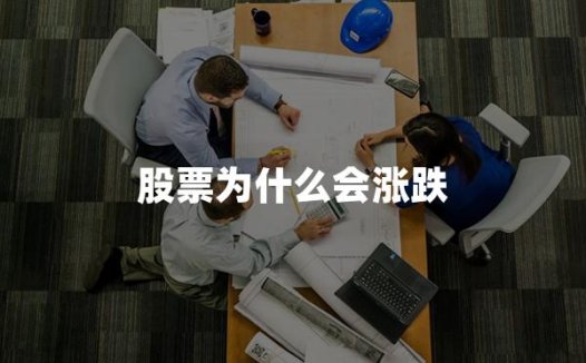 股票为什么会涨跌(2024年股票涨跌最新权威解答)