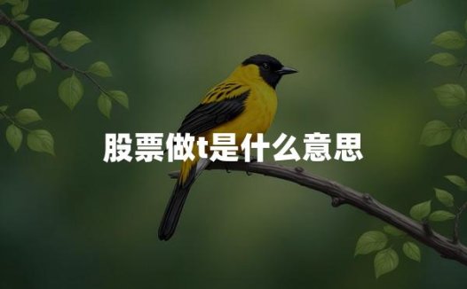 股票做t是什么意思