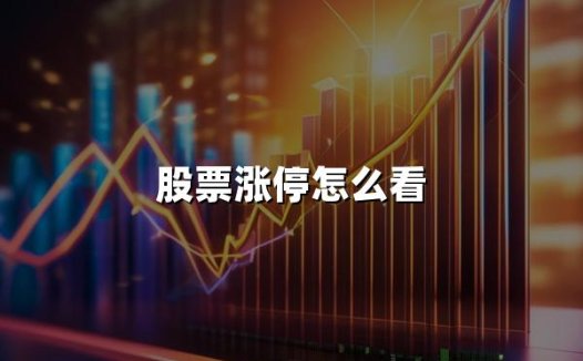 股票涨停怎么看(2024年查看股票涨停的最新方法)