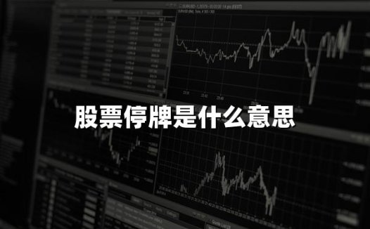 股票停牌是什么意思(2024最新权威解答)