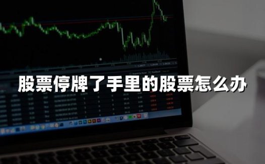 股票停牌了手里的股票怎么办(2024年最新权威解答)