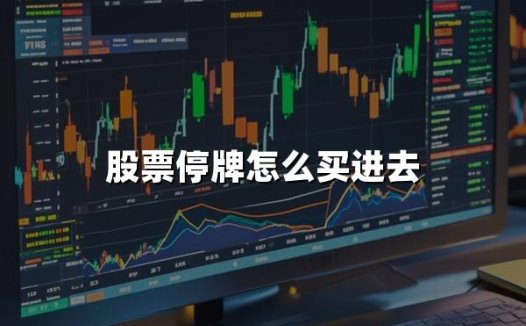 股票停牌怎么买进去(2024年最新权威解答)
