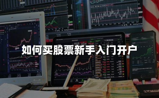如何买股票新手入门开户(2024新手股票开户详细步骤)