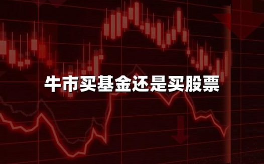 牛市买基金还是买股票(2024权威解答)