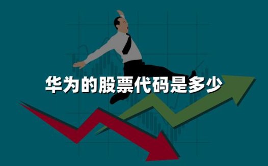 华为的股票代码是多少(2024年权威解答)