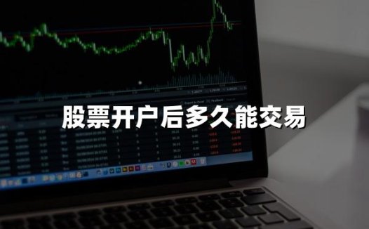 股票开户后多久能交易(2024年最新解答)