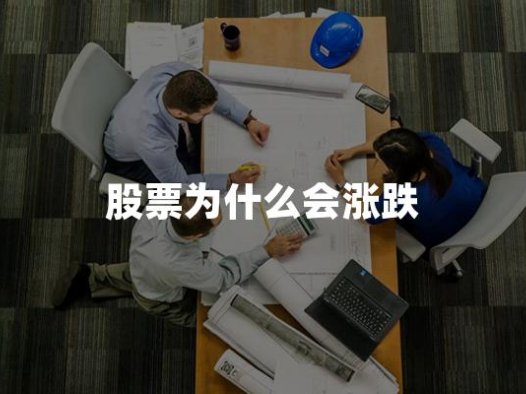 股票为什么会涨跌(2024年股票涨跌最新权威解答)