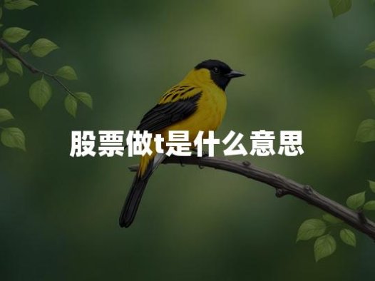 股票做t是什么意思