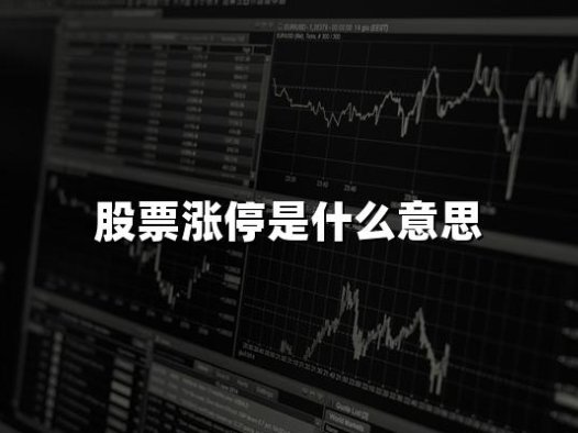 股票涨停是什么意思(2024年股票涨停最新权威解释)