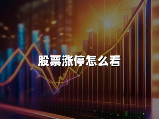 股票涨停怎么看(2024年查看股票涨停的最新方法)