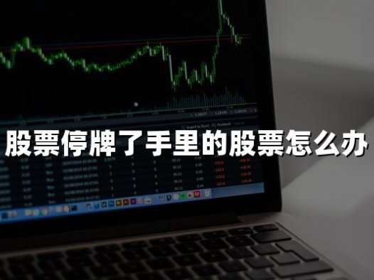 股票停牌了手里的股票怎么办(2024年最新权威解答)