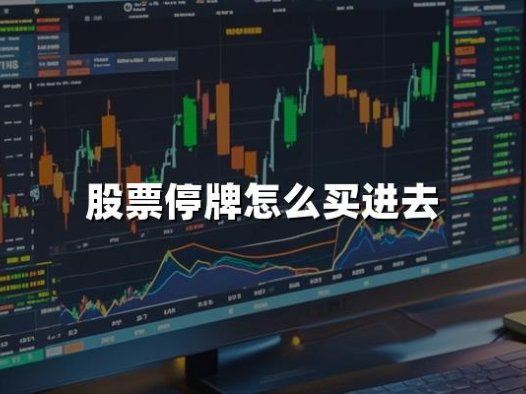 股票停牌怎么买进去(2024年最新权威解答)
