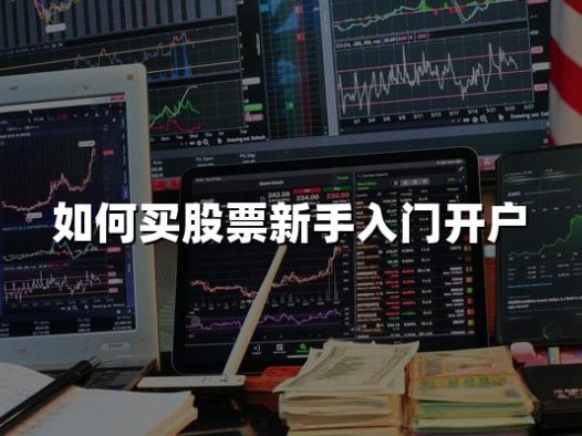 如何买股票新手入门开户(2024新手股票开户详细步骤)