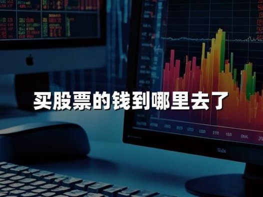 买股票的钱到哪里去了(2024年最新权威解答)