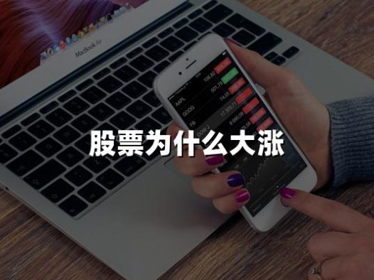 股票为什么大涨？2024年股票大涨五大原因！