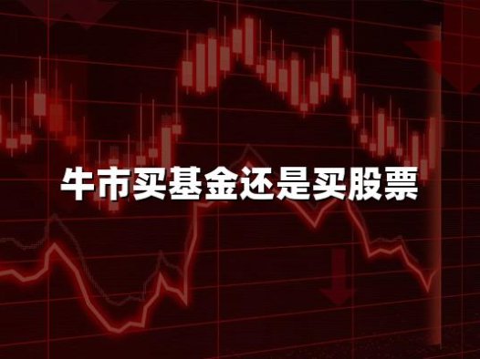 牛市买基金还是买股票(2024权威解答)