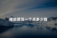 橡胶期货一个点多少钱(2024橡胶期货价格详解)