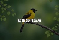 期货如何交易(2024期货交易步骤详解)