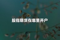 股指期货在哪里开户(2024股指期货最新开户指南)