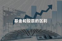 基金和股票的区别?2025年股票和基金四大最新区别!