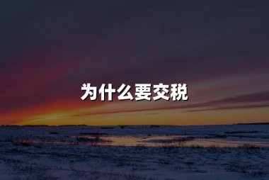 为什么要交税(2024年最新交税理由大全)