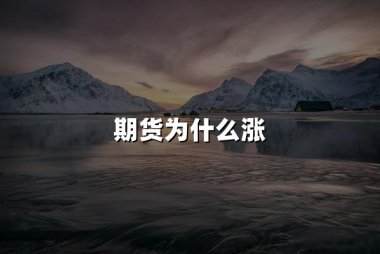期货为什么涨(2024期货价格上涨五大理由)