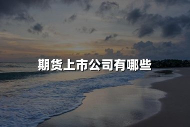 期货上市公司有哪些(2024年上市期货公司名单一览表)
