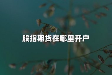 股指期货在哪里开户(2024股指期货最新开户指南)