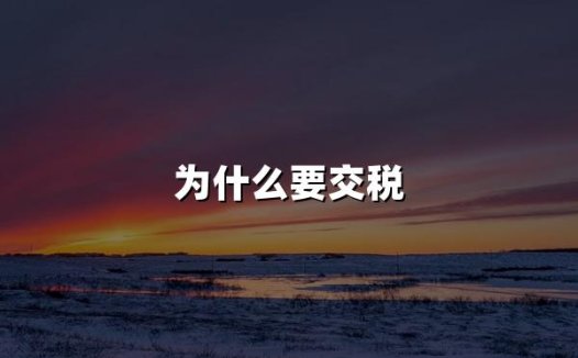 为什么要交税(2024年最新交税理由大全)
