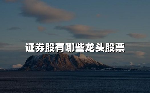 证券股有哪些龙头股票(2024十大证券龙头股票名单)