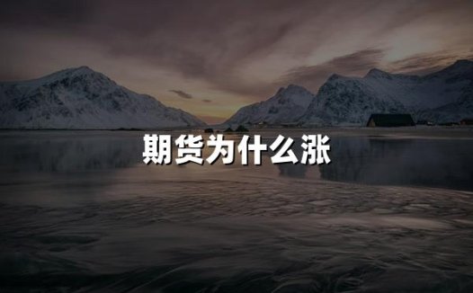 期货为什么涨(2024期货价格上涨五大理由)