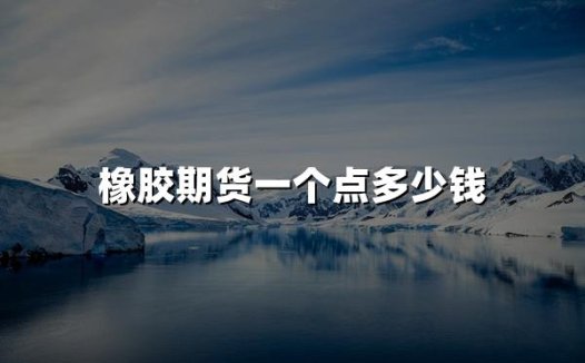 橡胶期货一个点多少钱(2024橡胶期货价格详解)