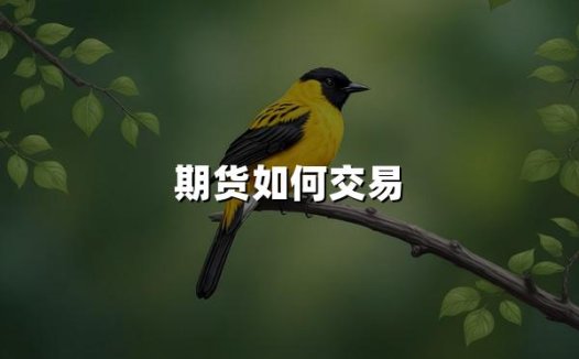 期货如何交易(2024期货交易步骤详解)