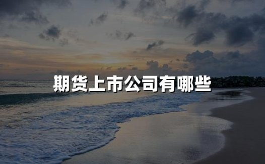 期货上市公司有哪些(2024年上市期货公司名单一览表)