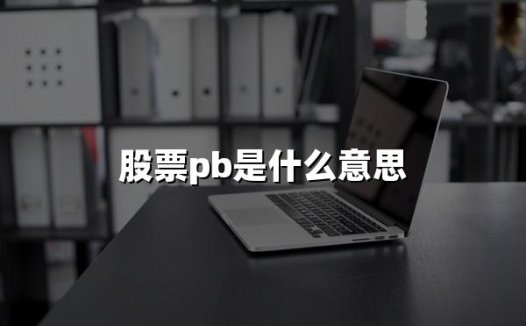 股票pb是什么意思(2024年通俗易懂解释股票PB)